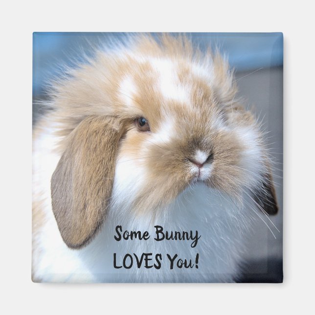 Einige sonnige Lieben Sie - Fluffy Holland Lop Magnet (Vorne)