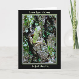 Einige Tage, ist es am besten, es gerade zu Karte