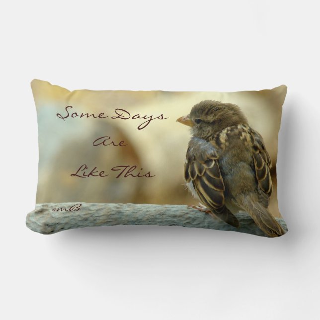 Einige Tage sind so, Designer-Kissen Lendenkissen (Vorderseite)