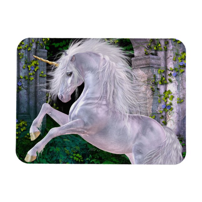 Einige verzauberte Abend Flexi Magnet (Horizontal)