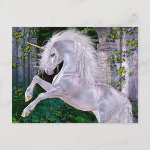 Einige verzauberte Abend-Postkarte Postkarte