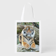 Einkaufstasche Foto Tigerkatze. Einkaufstasche