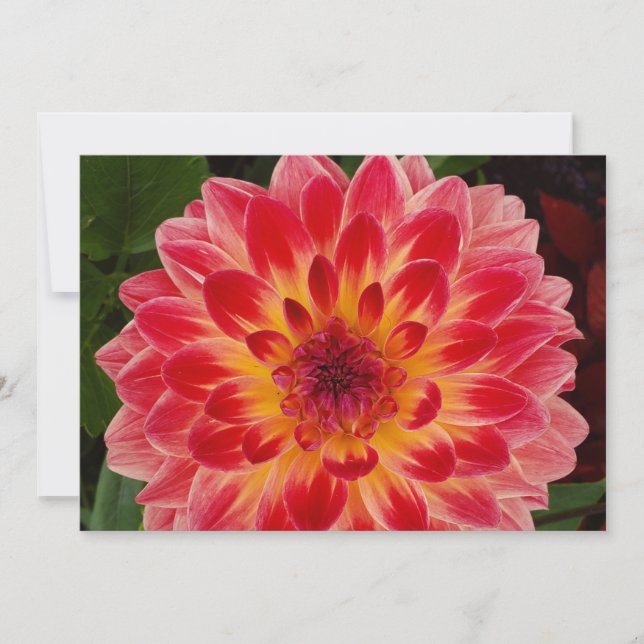 Einladung (Vorderseite)