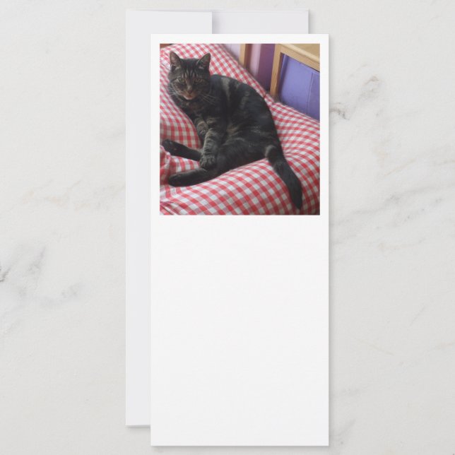 Einladung am niedlichen Dave 10.2 (Vorderseite)