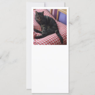 Einladung am niedlichen Dave 10.2