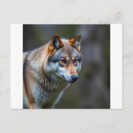 Einladung & Ankündigung