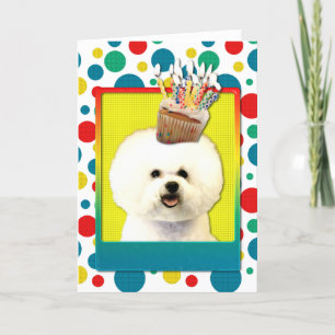 Einladung Cupcake - Bichon Frise