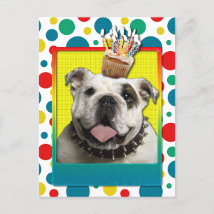 Einladung Cupcake - Bulldog - Light Postkarte