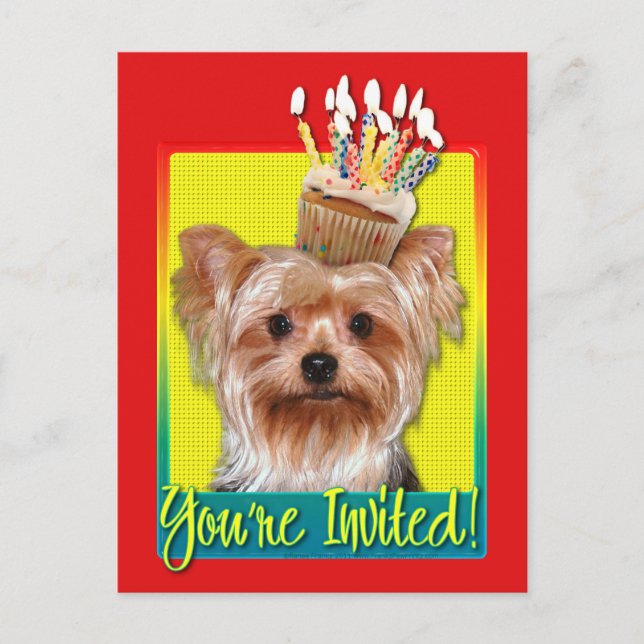 Einladung Cupcake - Yorkshire Terrier (Vorderseite)