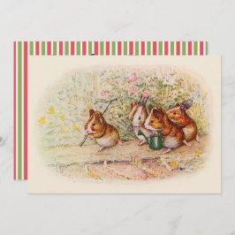 Einladung der Guinea Pig