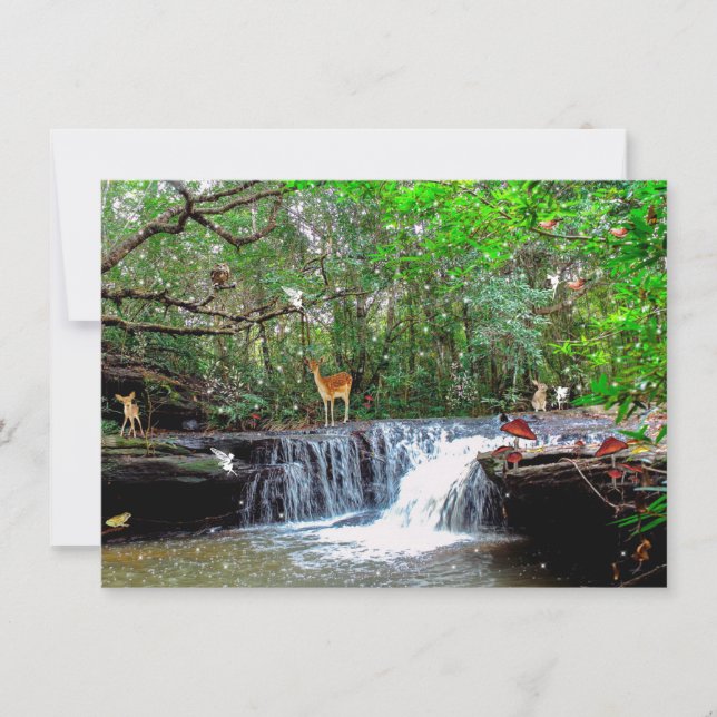 Einladung der verzauberten Waldwildzerne (Vorderseite)