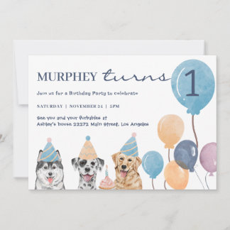 Einladung des Hundes zum Geburtstag