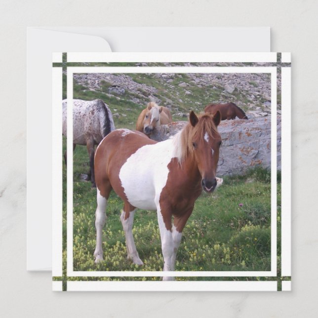 Einladung des Paint Horse (Vorderseite)