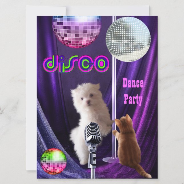 Einladung Disco Party Hunde Katze Maltesische Welp (Vorderseite)
