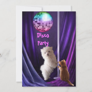 Einladung Disco Party Hunde Katze Maltesische Welp