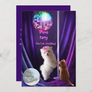 Einladung Disco Party Hunde Katze Maltesische Welp