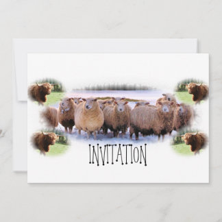 Einladung für GRILLEN oder Abendessen-Party