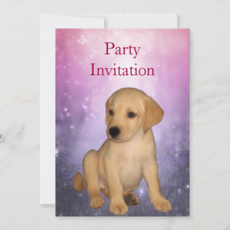 Einladung Labrador Welpe im Park