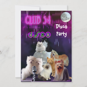 Einladung Ladys Night Disco Party Hunde Katzen