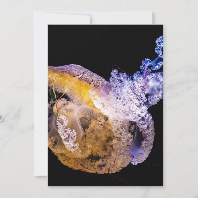 Einladung Postkarte 5" x 7" (Vorderseite)