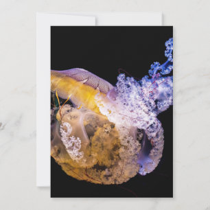 Einladung Postkarte 5" x 7"