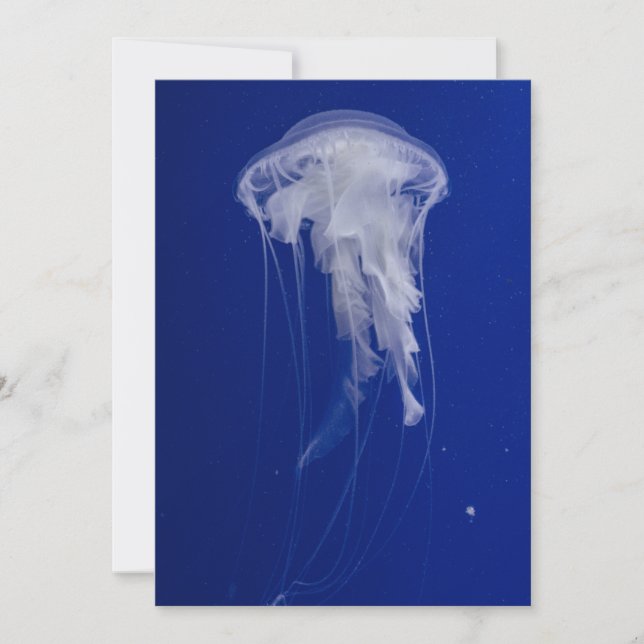 Einladung Postkarte 5" x 7" (Vorderseite)