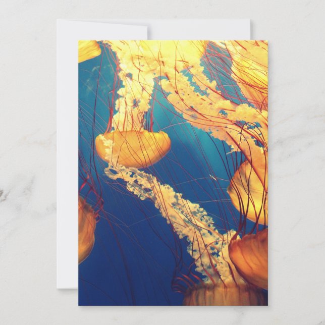 Einladung Postkarte 5" x 7" (Vorderseite)