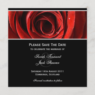 Einladung Save the Date Rote Rose