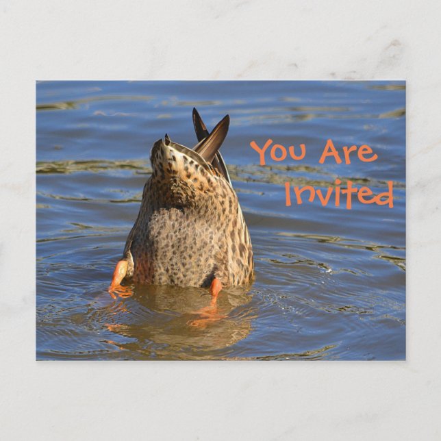 Einladung von Dunking Duck (Vorderseite)