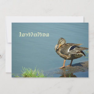 Einladung von Enten
