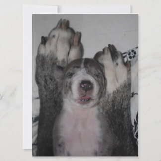 Einladung von Great Dane zum Geburtstag