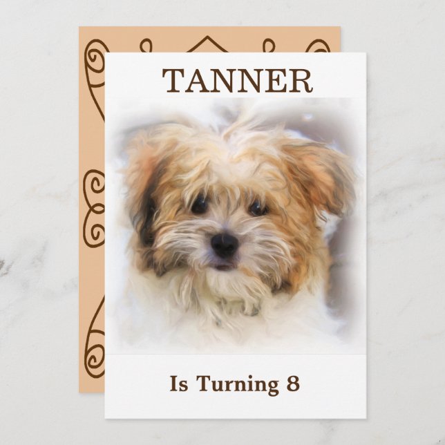 Einladung von Haustieren zum Geburtstag (Vorne/Hinten)