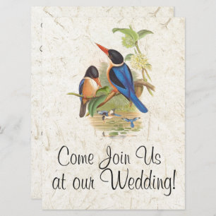 Einladung von Kingfisher Bird Wildlife Animal Wedd