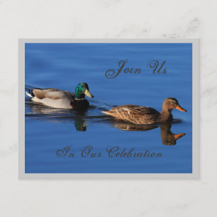 Einladung von Mallard Couple