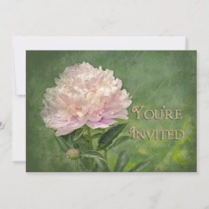 Einladung von Peony zu mehreren Zwecken