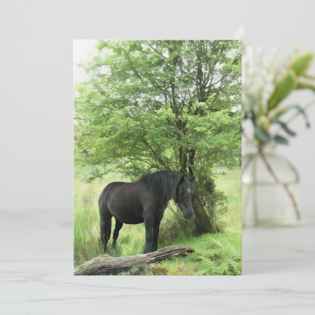 EINLADUNG VON PFERDEN (Stehend Vorderseite)