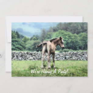 EINLADUNG VON PFERDEN