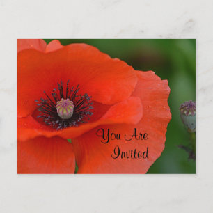 Einladung von Red Poppy