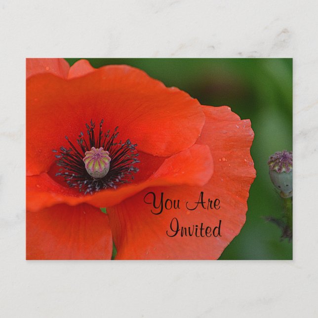 Einladung von Red Poppy (Vorderseite)