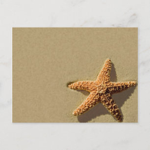 Einladung von Starfish Tropical Event Beach Postkarte