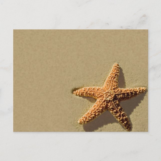 Einladung von Starfish Tropical Event Beach Postkarte (Vorderseite)