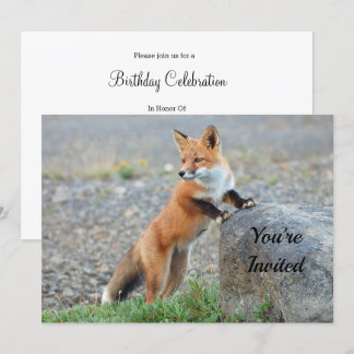 Einladung von stehend Red Fox zum Geburtstag