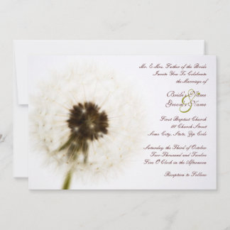 Einladung von White Dandelion