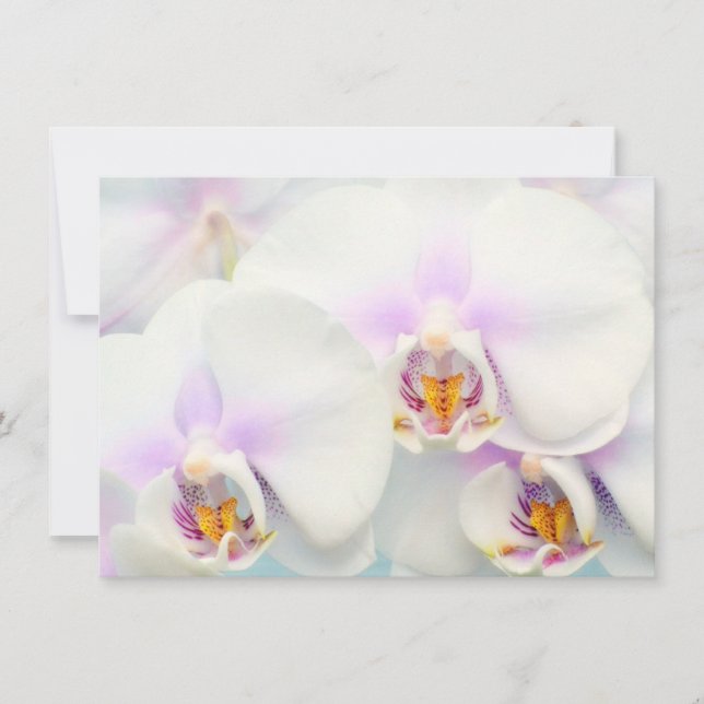 Einladung von White Orchids (Vorderseite)