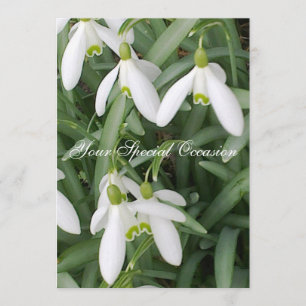Einladung zu Snowdrops