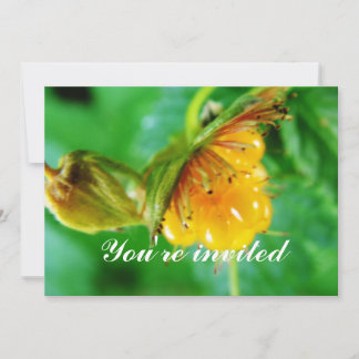 Einladung zu Wildgelbeere