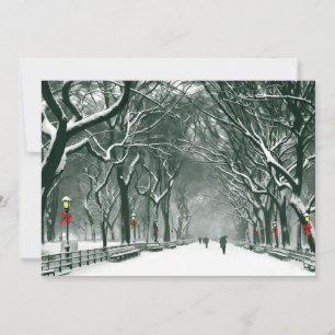 Einladung zum Central Park Snowway