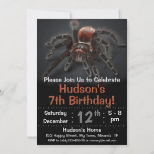 Einladung zum Geburtstag der Spinne