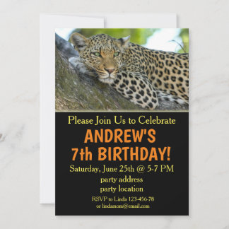 Einladung zum Geburtstag von Leopard, Safari