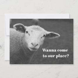 Einladung zum niedlichen Pessach